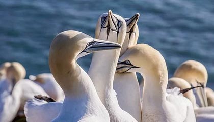 绍兴最新公积金卡提取现金方法app方法分析(最方便真实的绍兴公积金卡怎样从手机里取出来?方法)