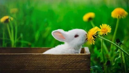 绍兴最新公积金卡提取现金方法app方法分析(最方便真实的绍兴公积金卡怎样从手机里取出来?方法)